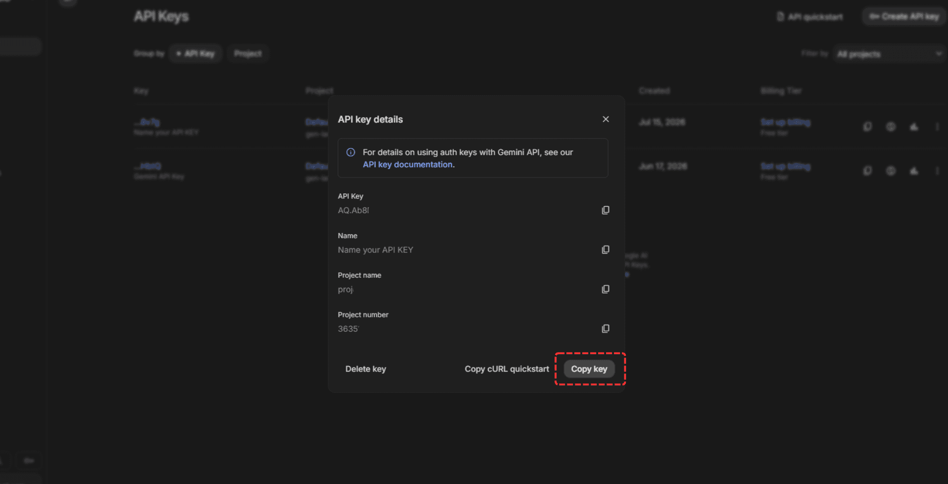 The API key details dialog, with the “Copy key” button highlighted at the bottom.